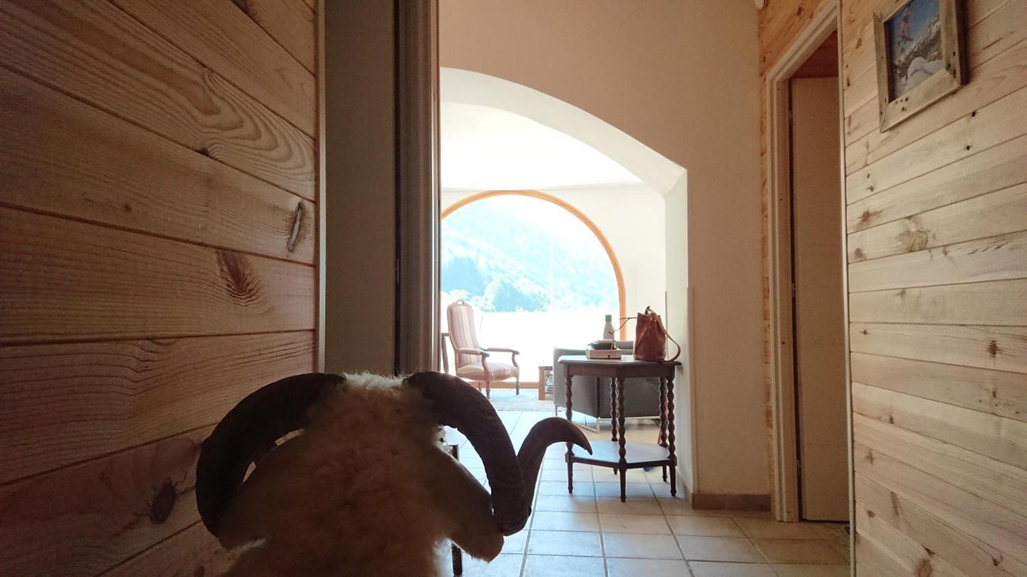 Superbe Logement 12 Pers Famille Ou Groupe. Laruns Eksteriør bilde